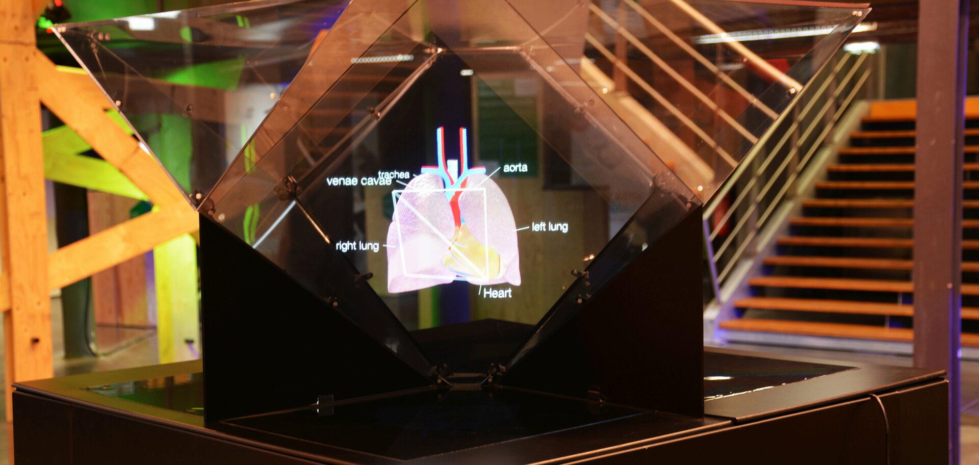 Visualisateur 3D medical sur Holusion Focus