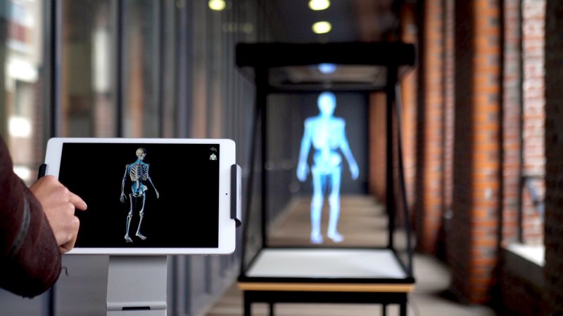 hologramme interactif d'un squelette humain