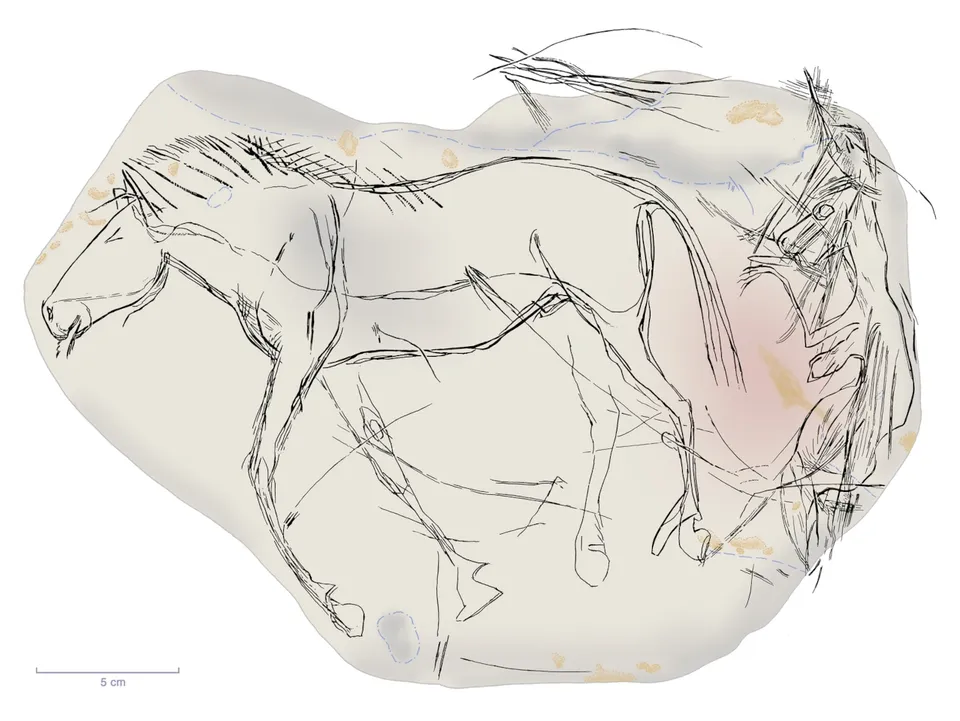 drawing tracing the engravings of the Étiolles pebble © Carole Fritz, Gilles Tosello
