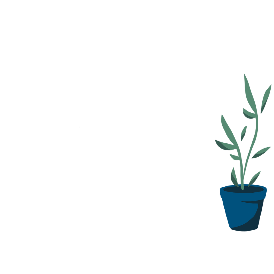 illustration d'une plante