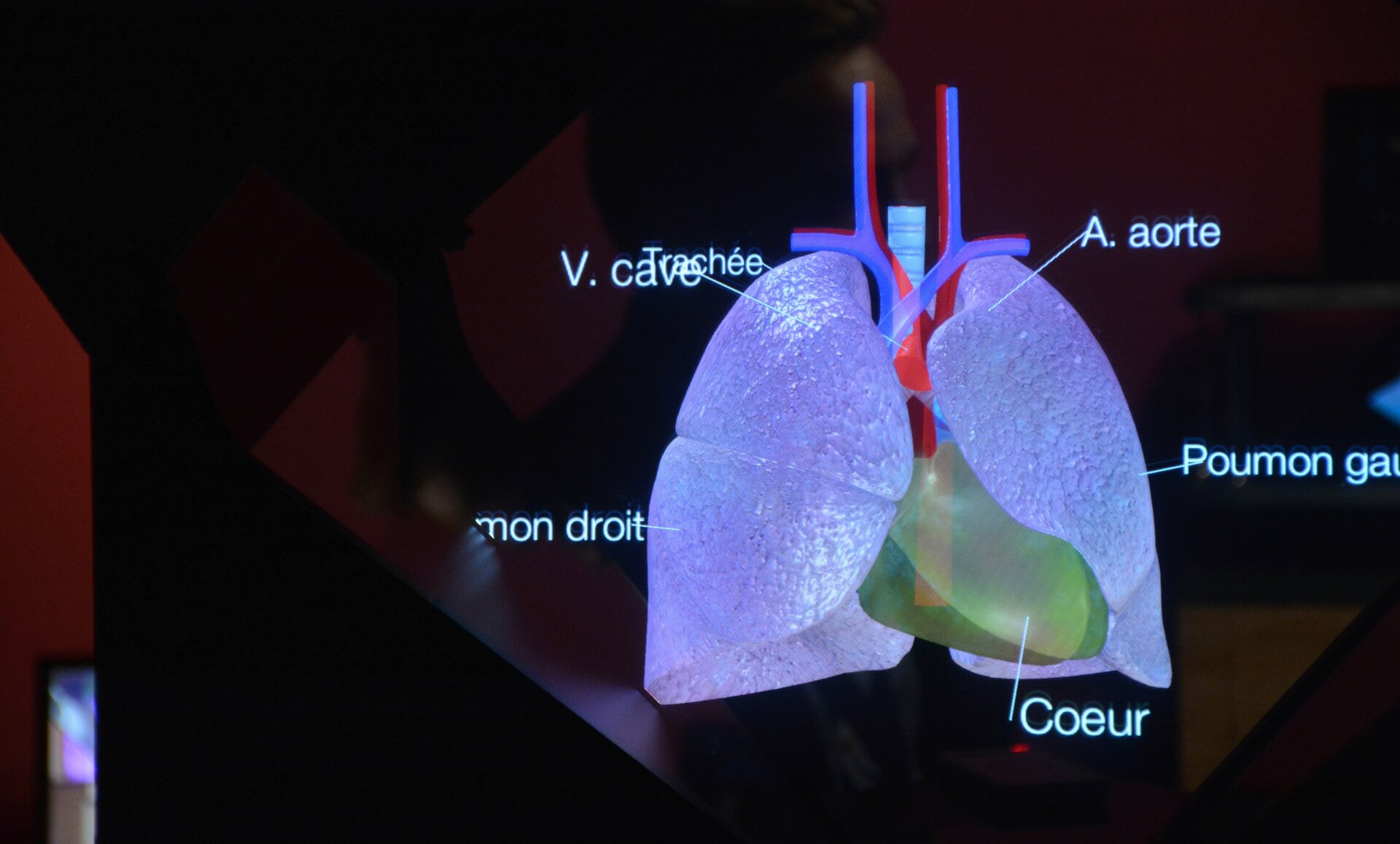 Formation médicale présentée au Laval Virtual 2016